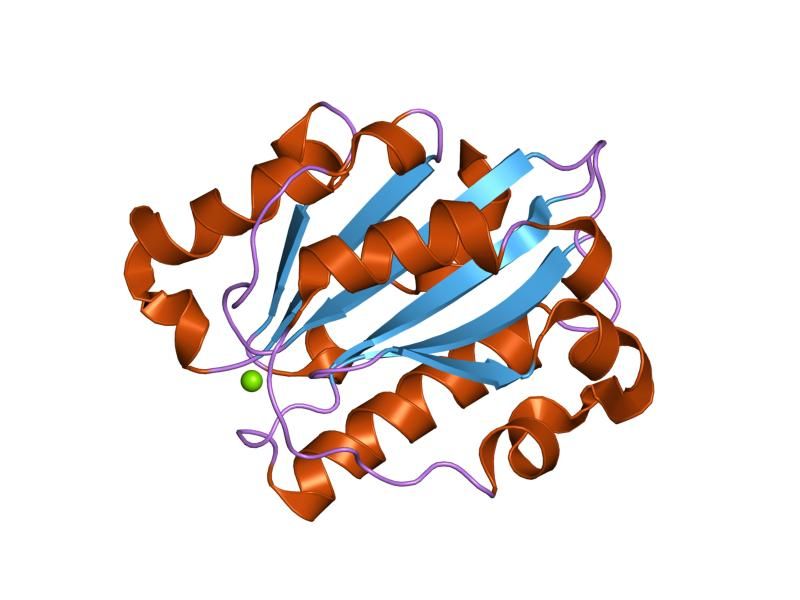 File:PDB 1mjn EBI.jpg