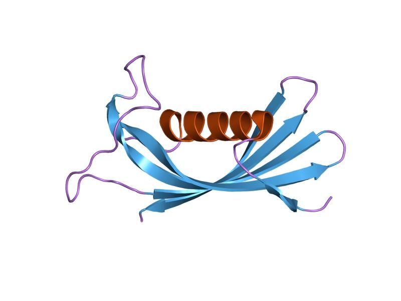 File:PDB 1roa EBI.jpg