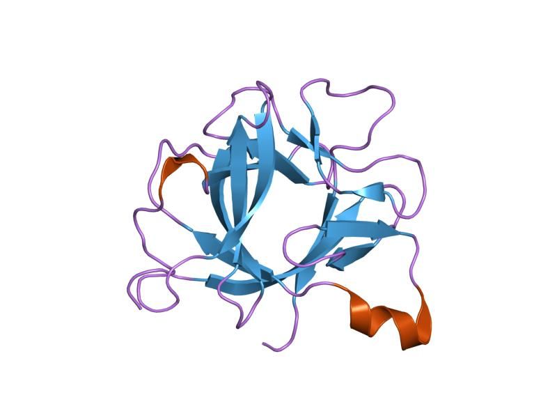 File:PDB 1s0l EBI.jpg