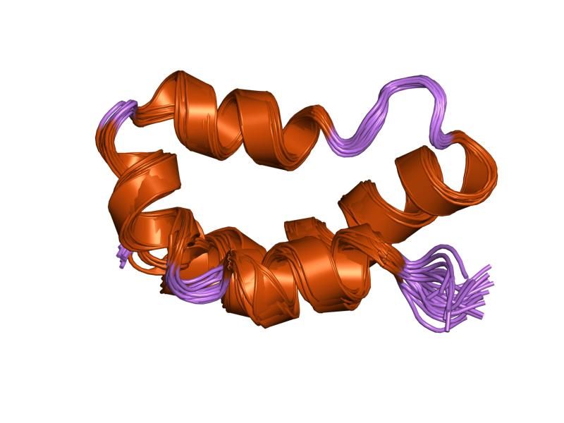 File:PDB 1tp4 EBI.jpg