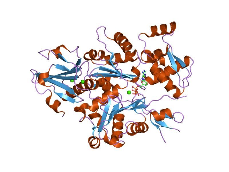 File:PDB 2ff6 EBI.jpg