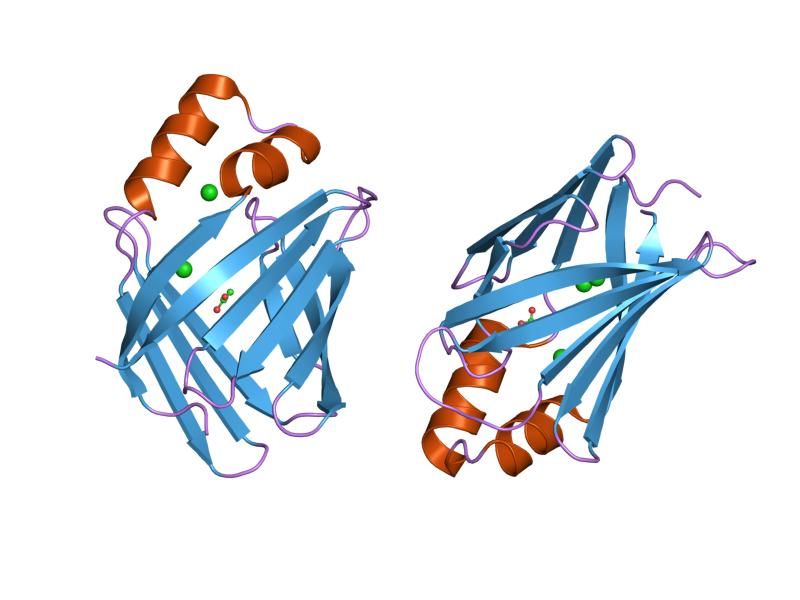 File:PDB 2fs7 EBI.jpg