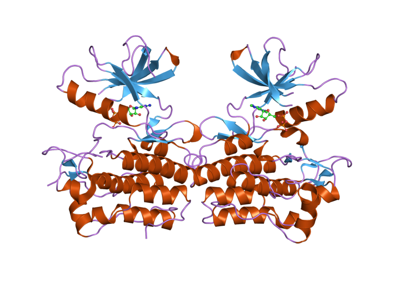 File:PDB 2g2i EBI.png