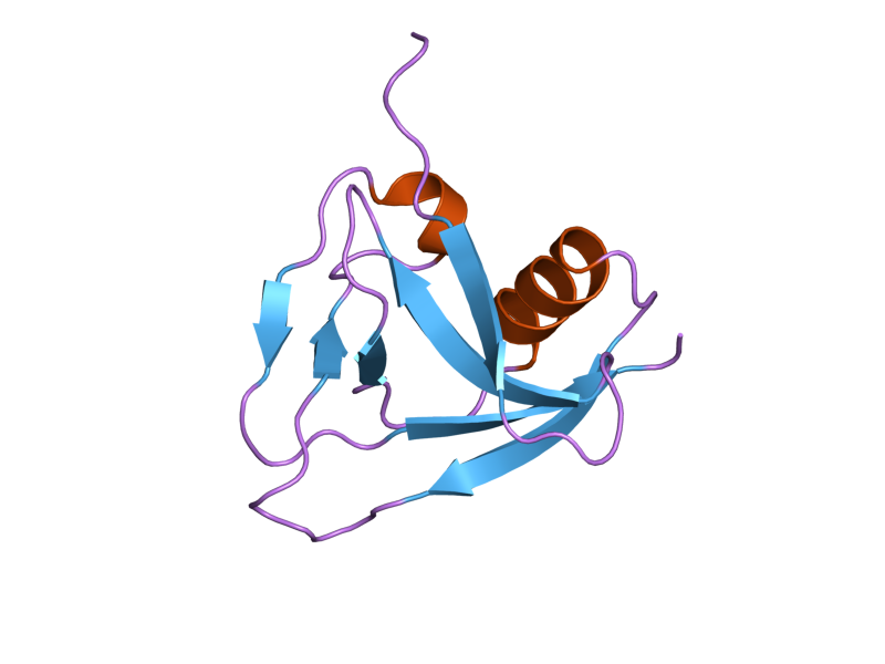 File:PDB 2ja4 EBI.png