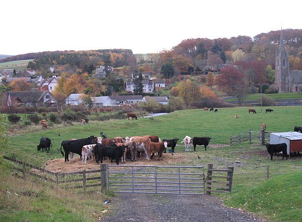 File:Stow - geograph.org.uk - 601928.jpg