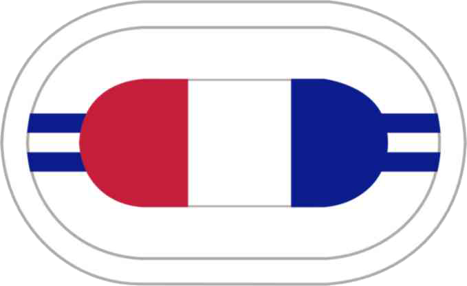 File:US Army 2nd BN-506th INF Reg Oval.png