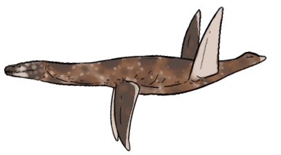 File:Umoonasaurus demoscyllus.png