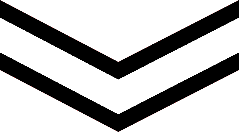 File:White-on-black chevron 01.png