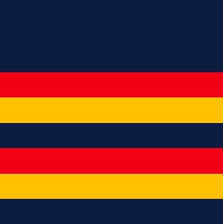 File:Border Downs-Tintinara Football Club colours.jpg