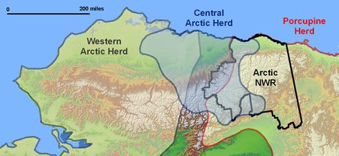 File:Caribou herd ranges.jpg