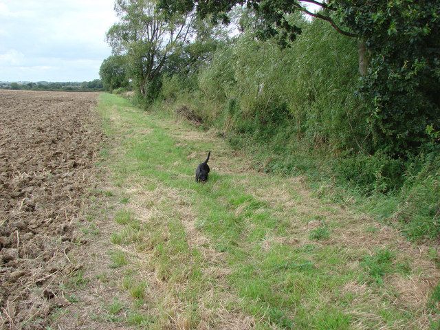 File:Field Boundary - geograph.org.uk - 527993.jpg