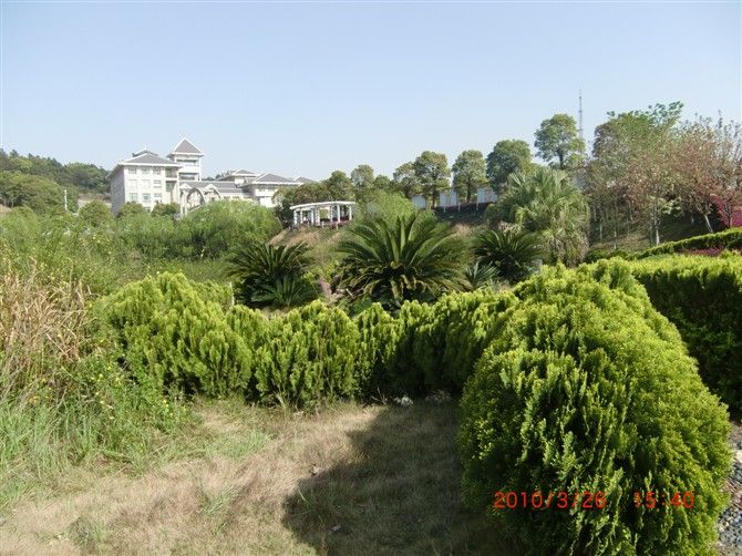 File:Hunan Mass Media Vocational Technical college 02.jpg