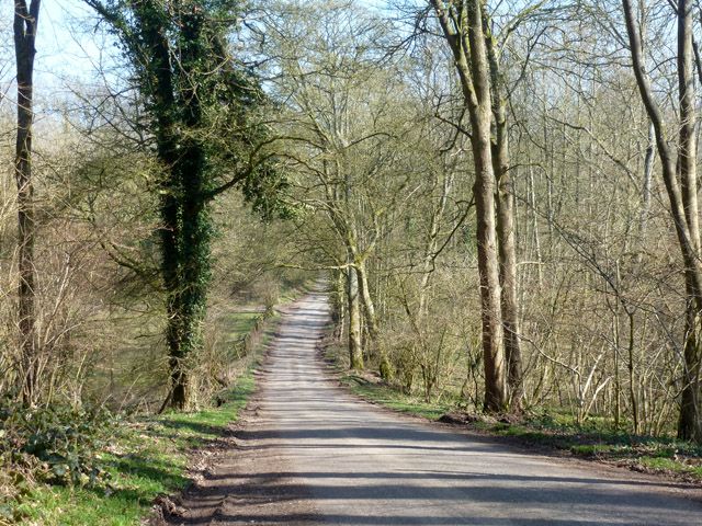 File:Lodge Lane, Chute Forest (geograph 4392764).jpg