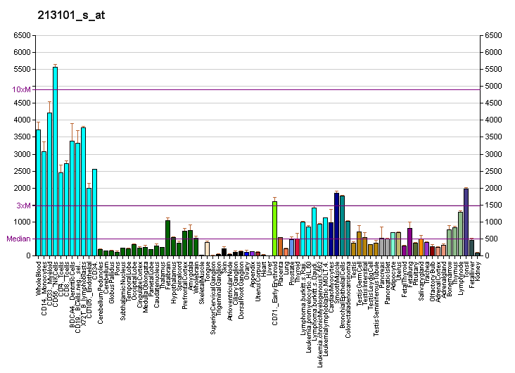 File:PBB GE ACTR3 213101 s at fs.png