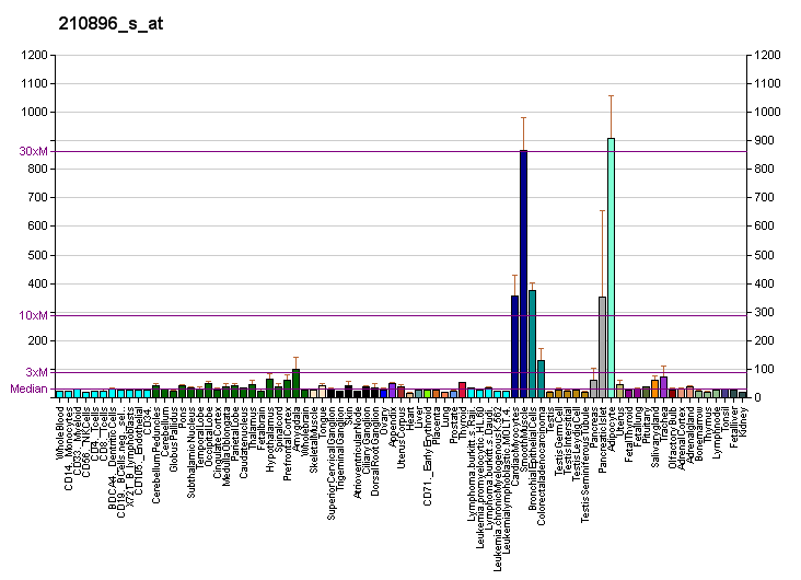 File:PBB GE ASPH 210896 s at fs.png