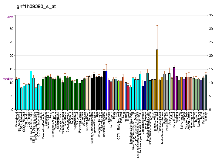 File:PBB GE PTPN11 gnf1h09380 s at fs.png