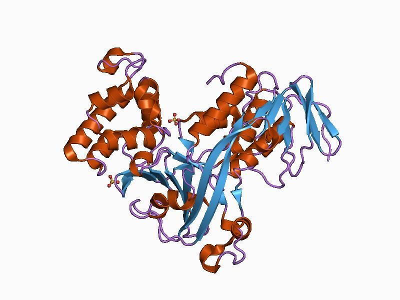 File:PDB 1d5t EBI.jpg