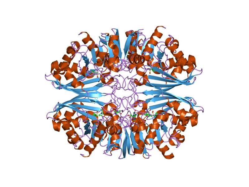 File:PDB 1j0x EBI.jpg