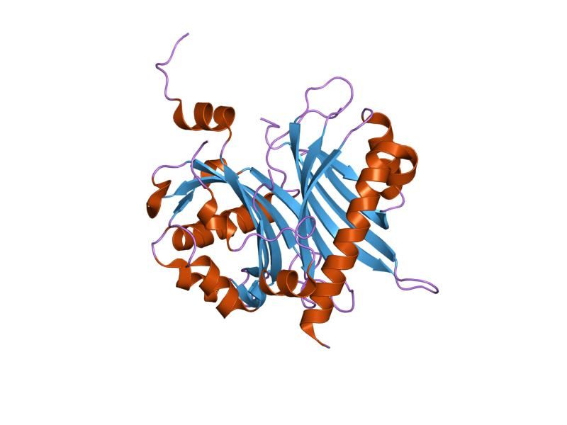 File:PDB 1jn5 EBI.jpg