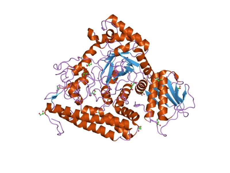 File:PDB 1k9d EBI.jpg