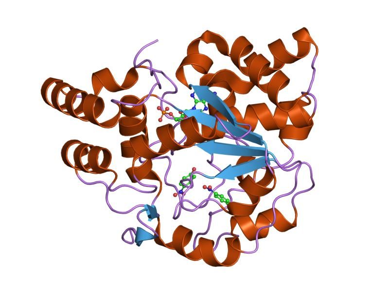 File:PDB 1ls6 EBI.jpg