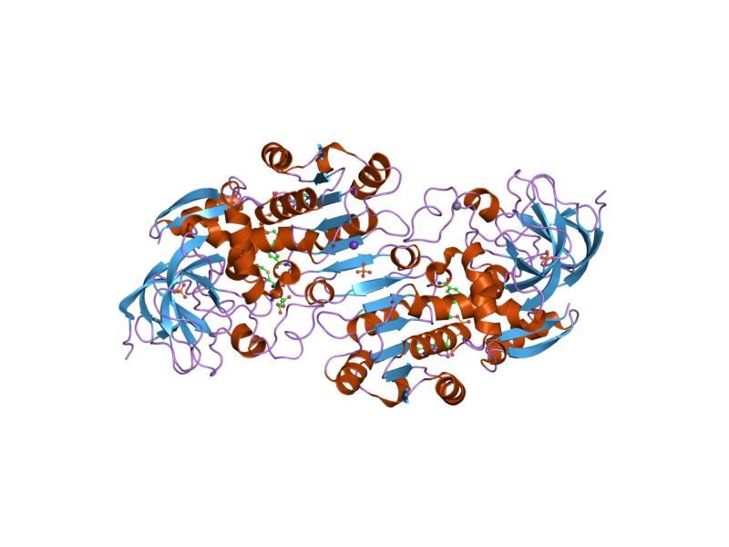 File:PDB 1mc5 EBI.jpg