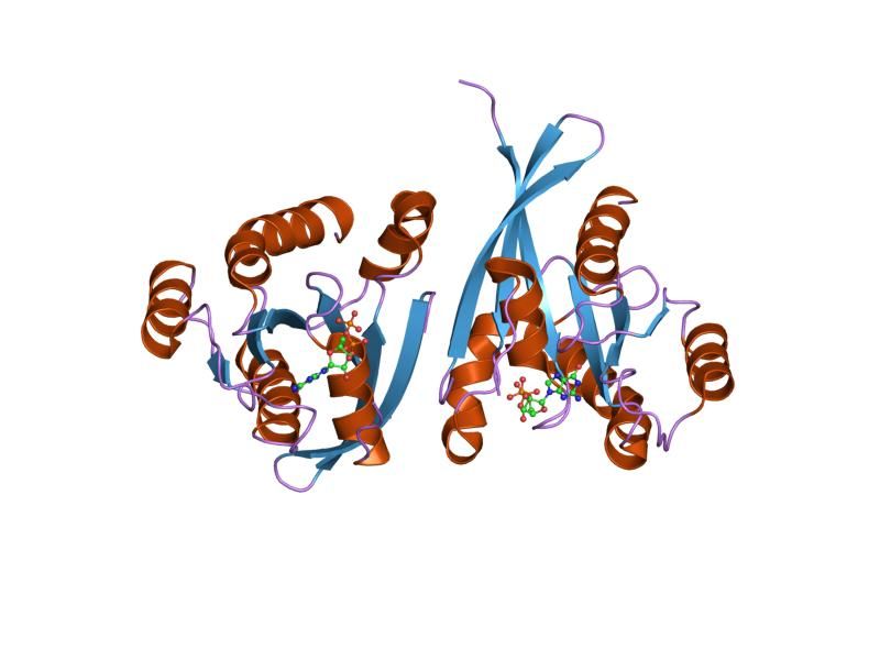 File:PDB 1wms EBI.jpg