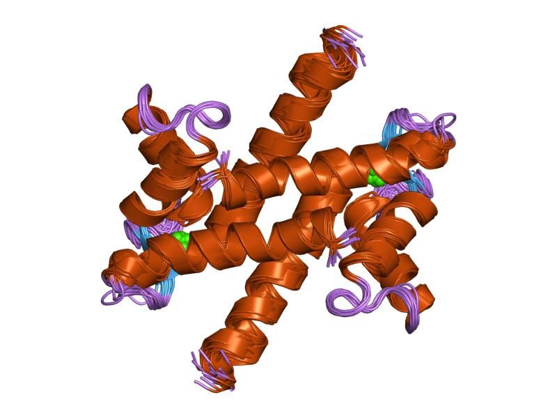 File:PDB 1zfs EBI.jpg