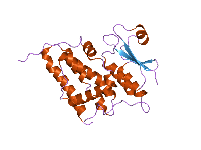 File:PDB 2ahe EBI.png