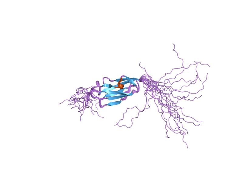 File:PDB 2dmb EBI.jpg