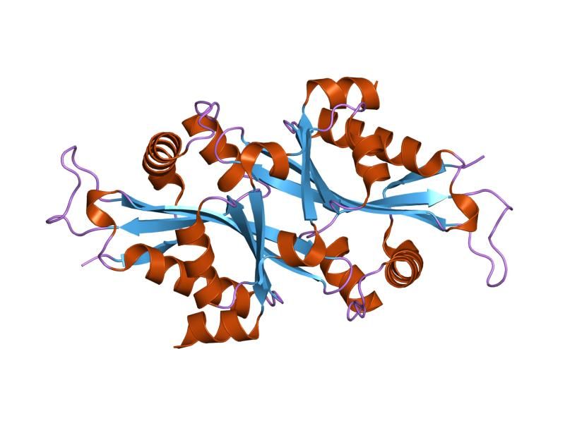 File:PDB 2f5i EBI.jpg