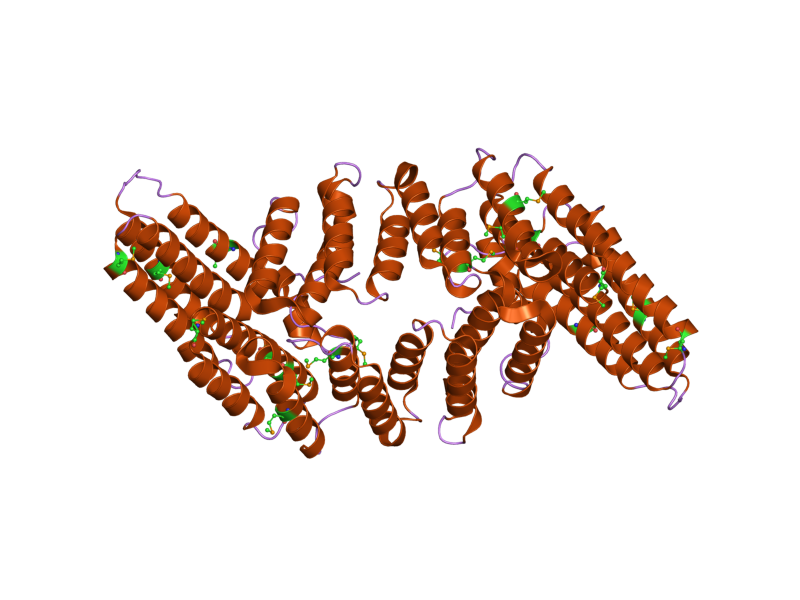 File:PDB 2ond EBI.png