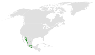 File:Poecile sclateri distribution map.png