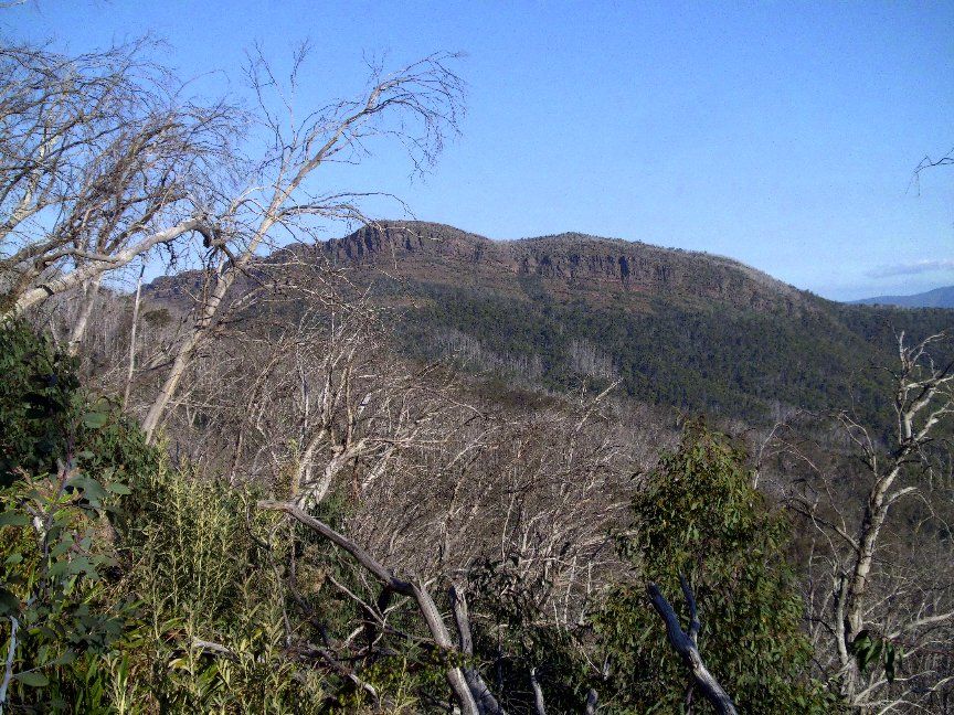 The Viking (range) taken from The Australian Alps Walking Track.