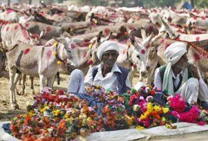 File:Vautha fair gujarat.jpg