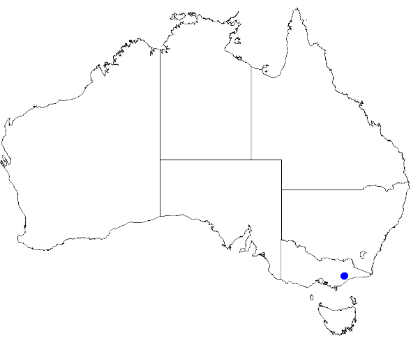 File:Boronia galbraithiae DistMap49.png