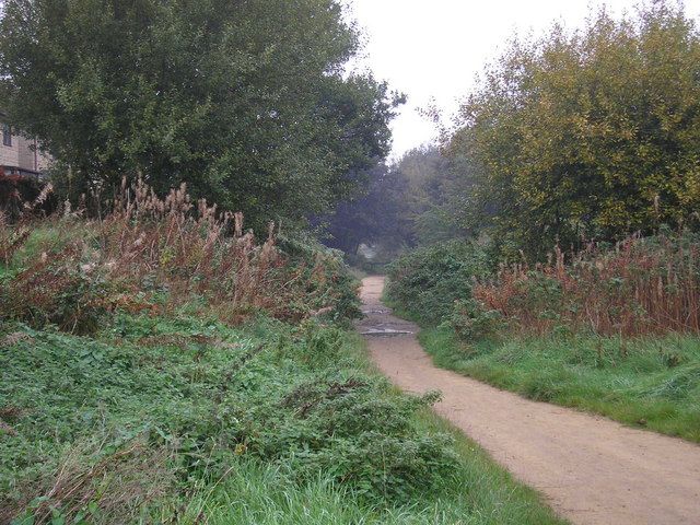 File:Dismantled railway - geograph.org.uk - 260316.jpg