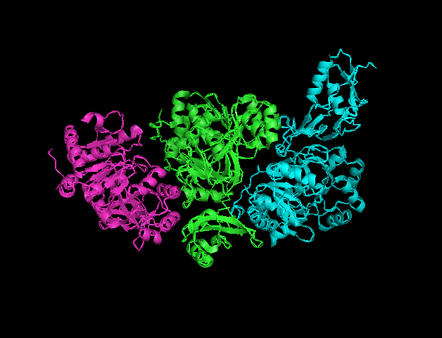 File:MenE Pymol.png