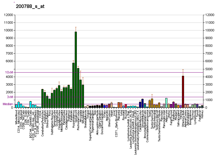 File:PBB GE PEA15 200788 s at fs.png