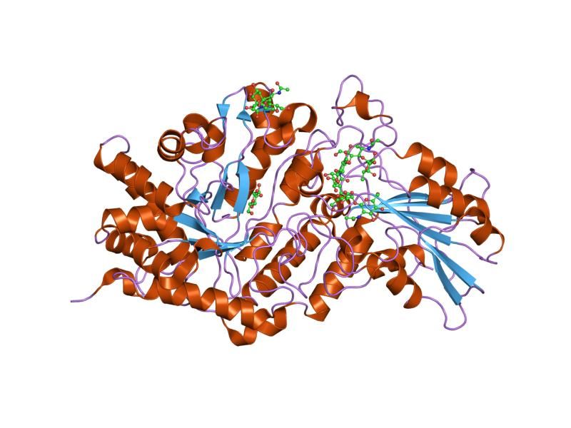 File:PDB 1ieq EBI.jpg