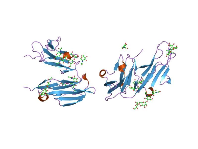 File:PDB 1j86 EBI.jpg