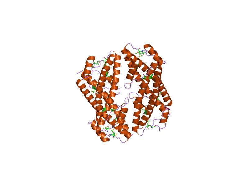 File:PDB 1k1f EBI.jpg