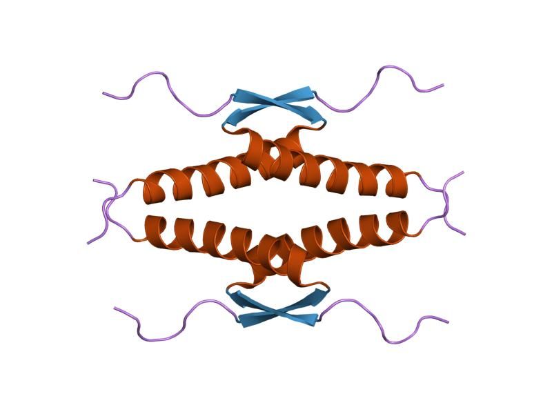 File:PDB 1olg EBI.jpg