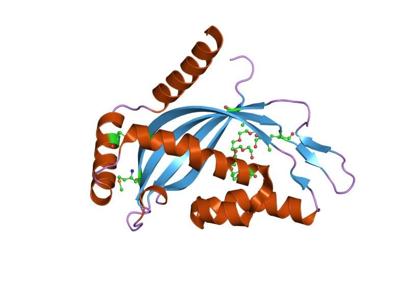 File:PDB 2cw9 EBI.jpg