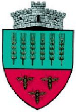 File:ROU SV Granicesti CoA.png