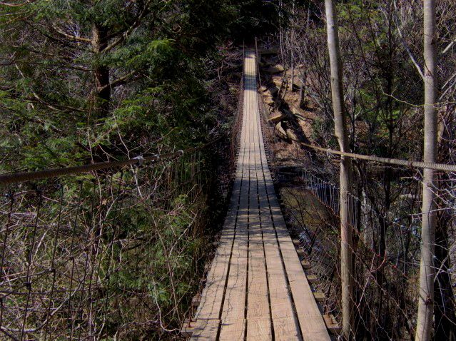 File:Swingbridge-fall-creek-falls-tn1.jpg