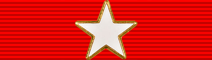 File:USA - TX Lone Star Distinguished Service.png