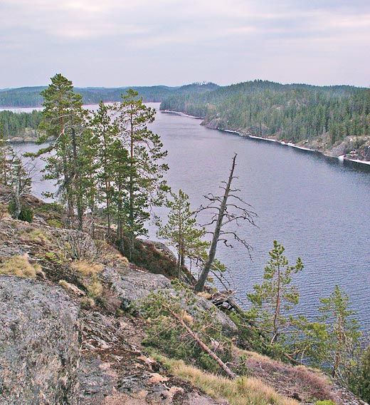 File:View from Linnavuori Sulkava Finland.jpg