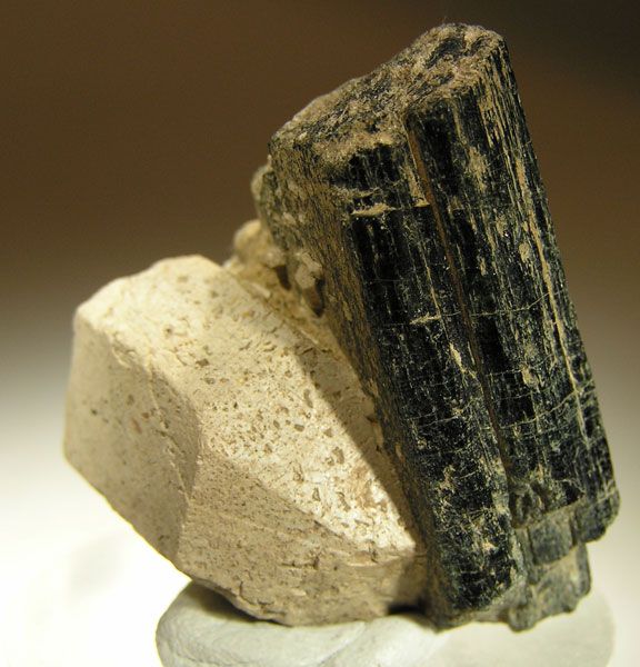 File:Apatite-(CaOH)-Hornblende-38354.jpg