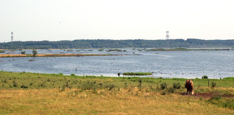 File:Bøllingsø.jpg